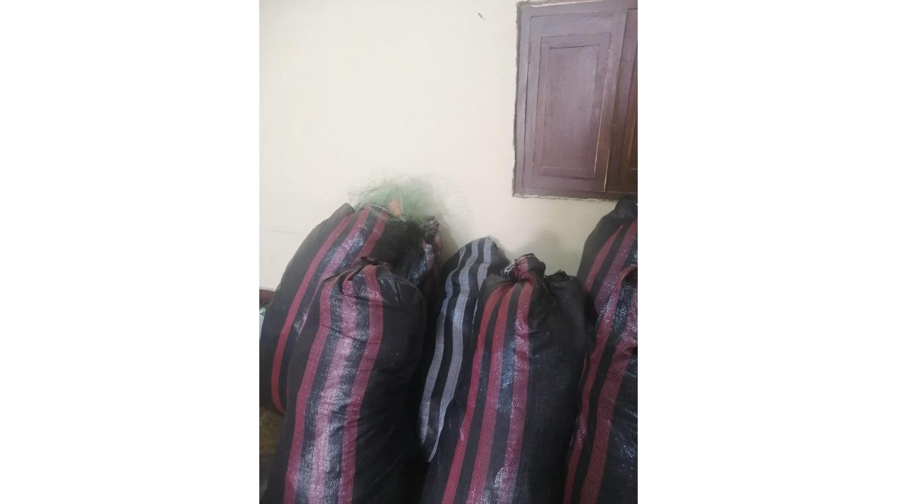 embarc4